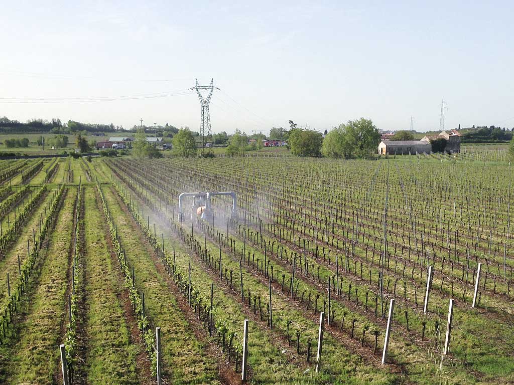 Uso degli agrofarmaci, attenzione alle sanzioni amministrative -  L'Informatore Agrario