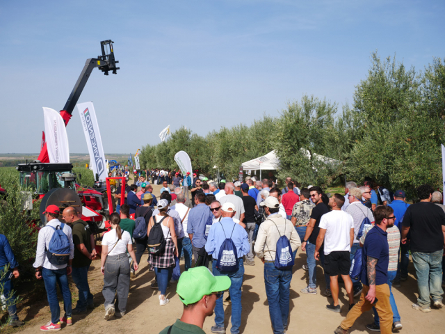 Pubblico durante uno dei tour guidati agli stand presenti a Olivo in Campo 2024